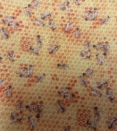 Bees