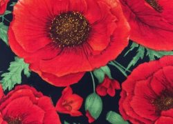 Poppies