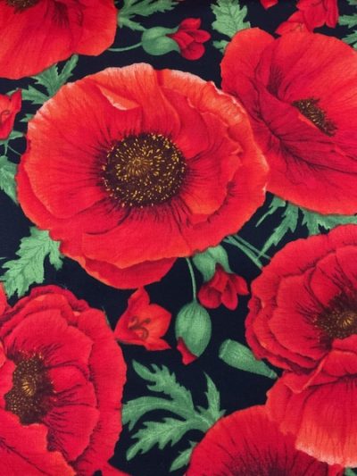 Poppies Poppies
