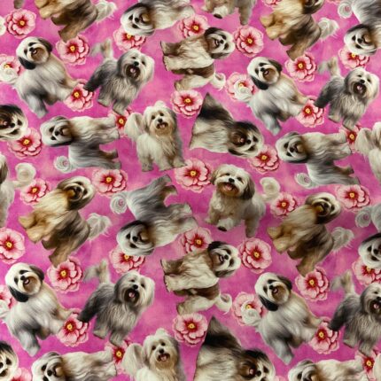 Lhasa Apso