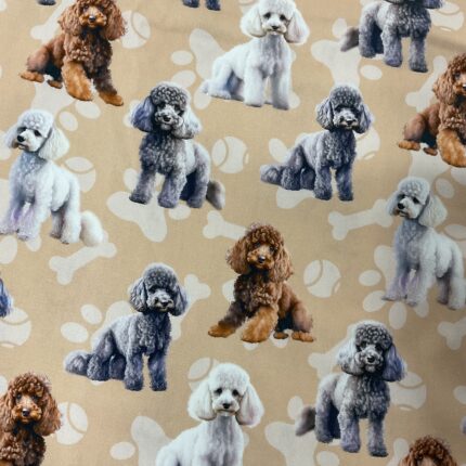 Poodle