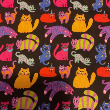 Cats 8